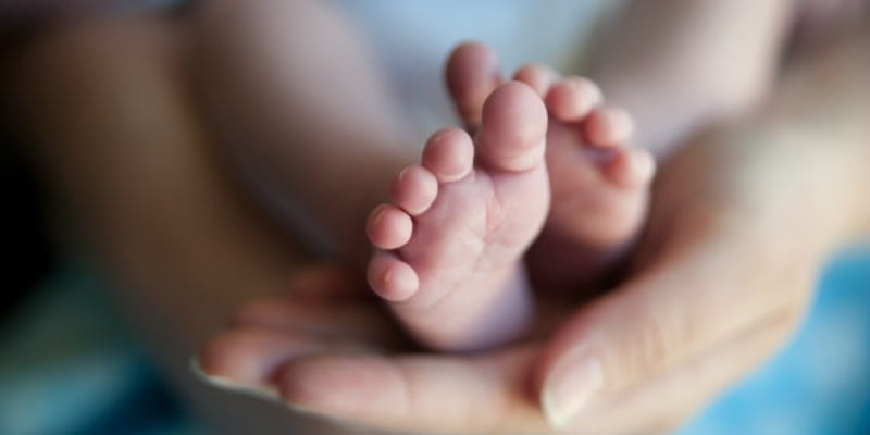 Another Planned Parenthood Video Shows Doctor Haggling Price of Organs